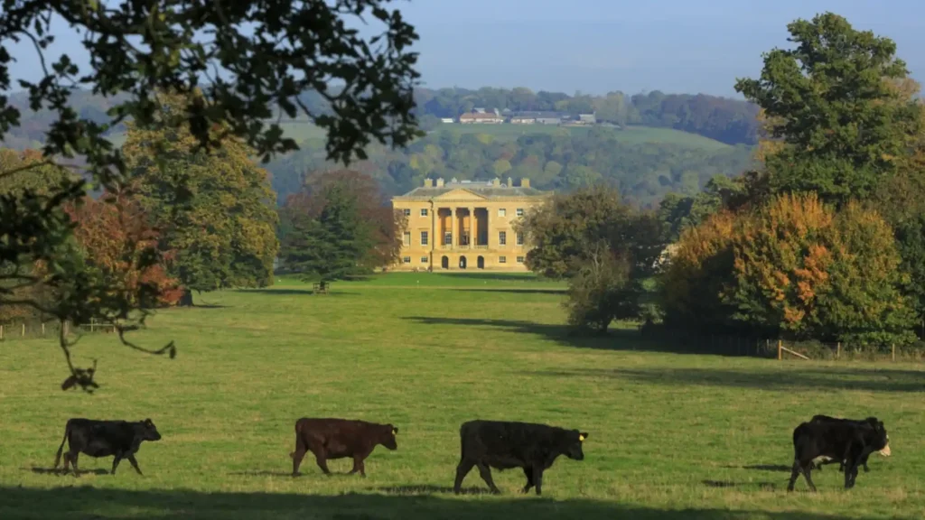Veduta da lontano di Basildon Park, dimora inglese in stile neoclassico 