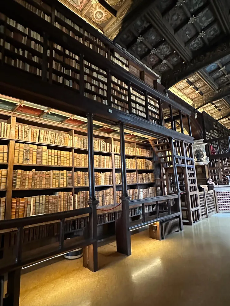 biblioteca dei libri proibiti harry potter
