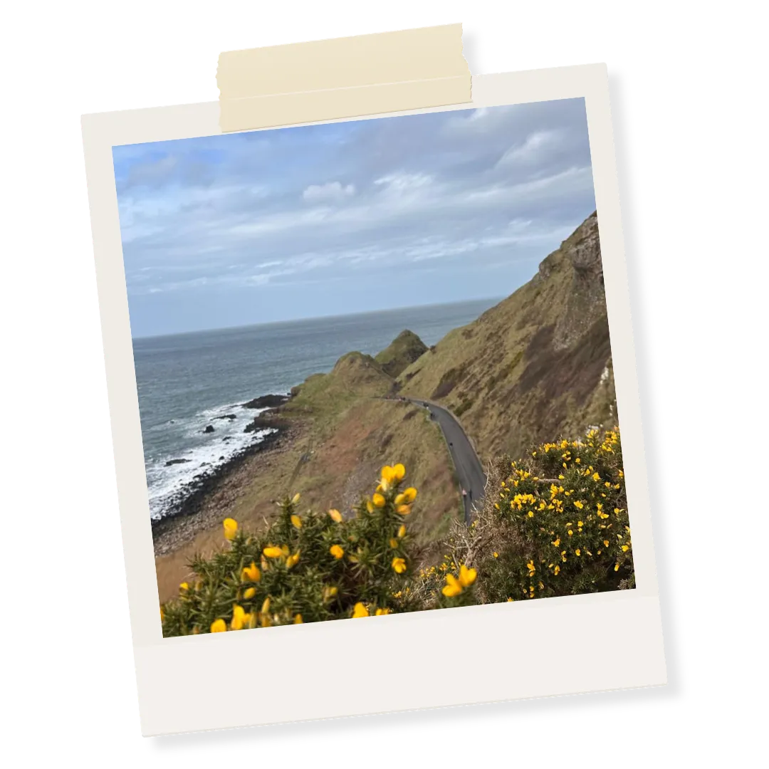 selciato del gigante irlanda del nord