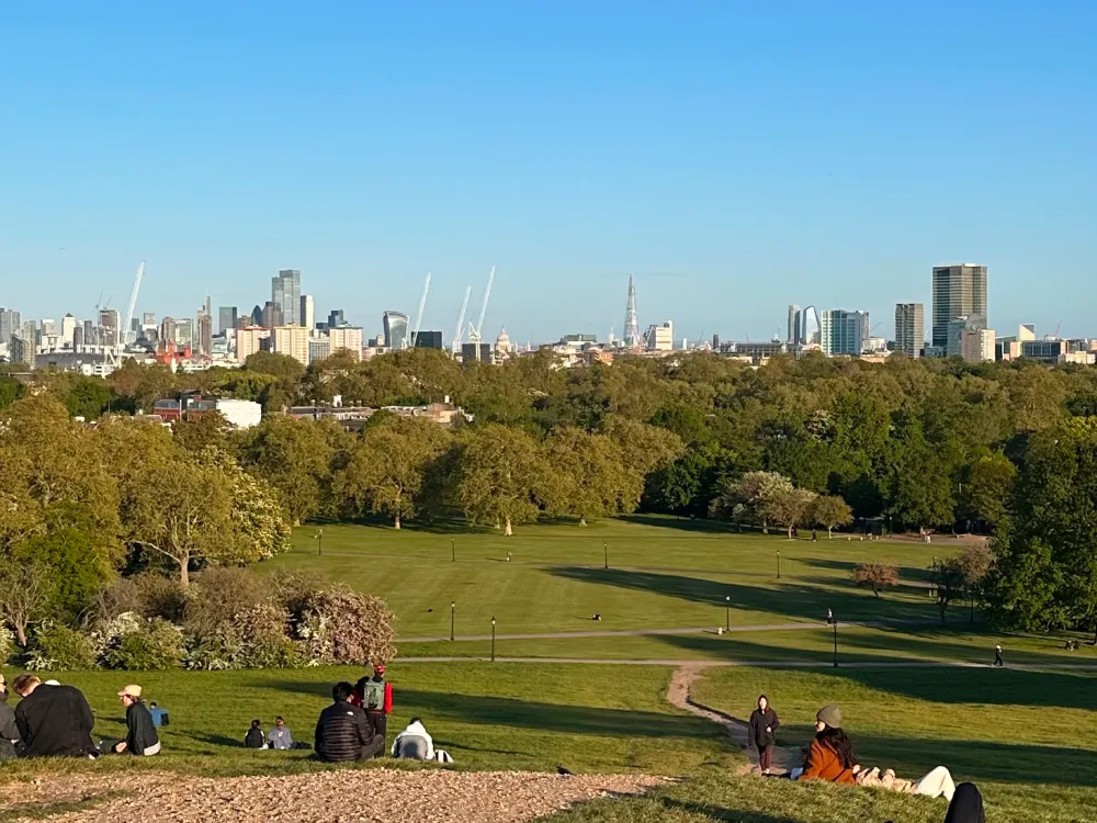 primrose hill